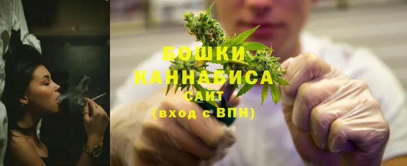 где купить   Бикин  Шишки марихуана OG Kush 